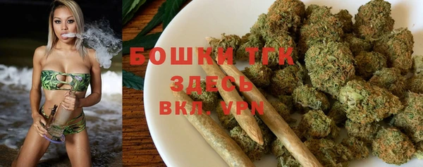 гидропоника Алзамай