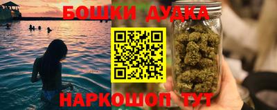 сатива Краснознаменск
