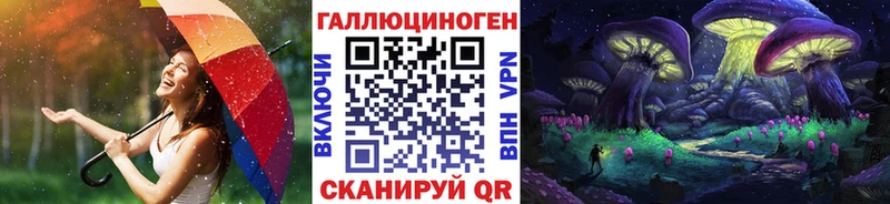 где можно купить Назрань Галлюциногенные грибы прущие грибы