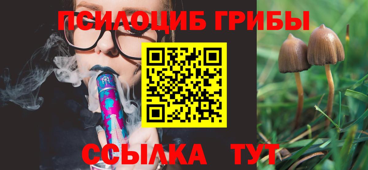 Псилоцибиновые грибы ЛСД Назрань